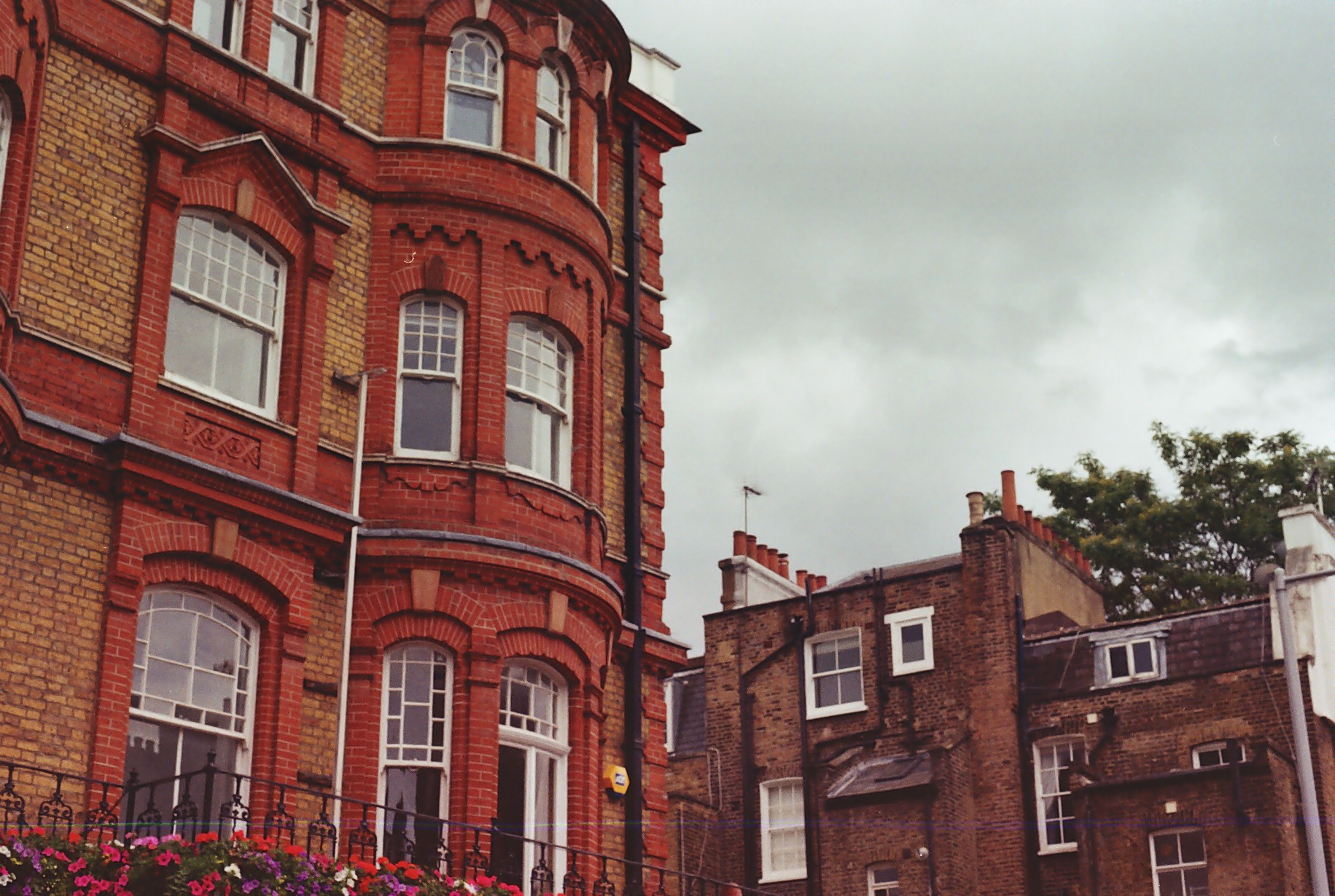 Portfolio background 3